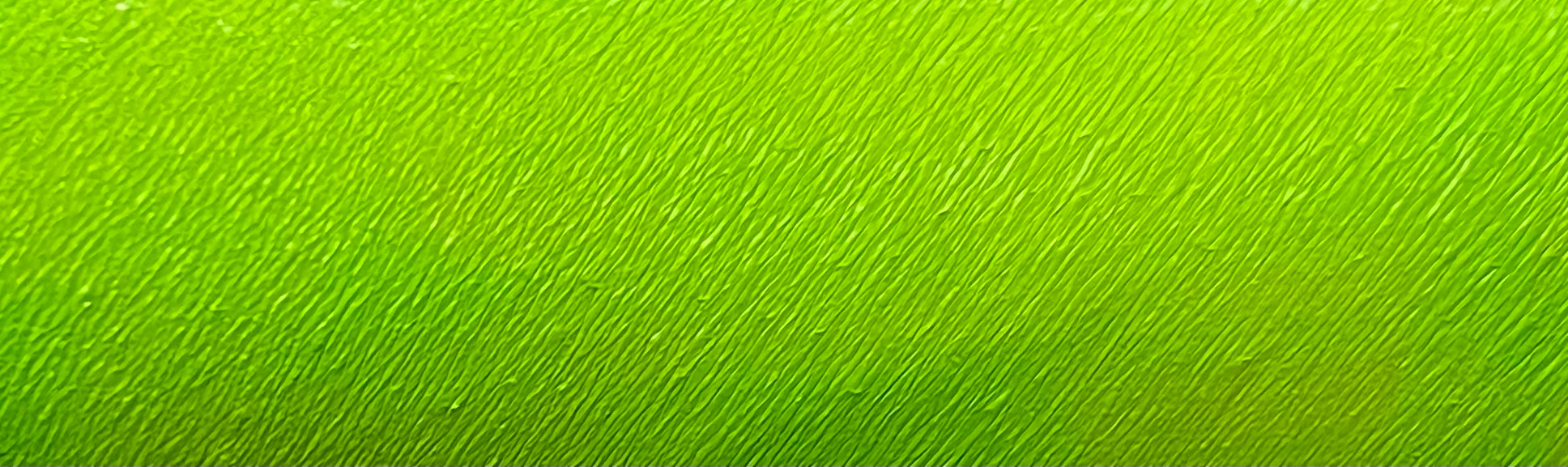 22 - Kelly (Green) Water Activated Graphic Liner - Image 4